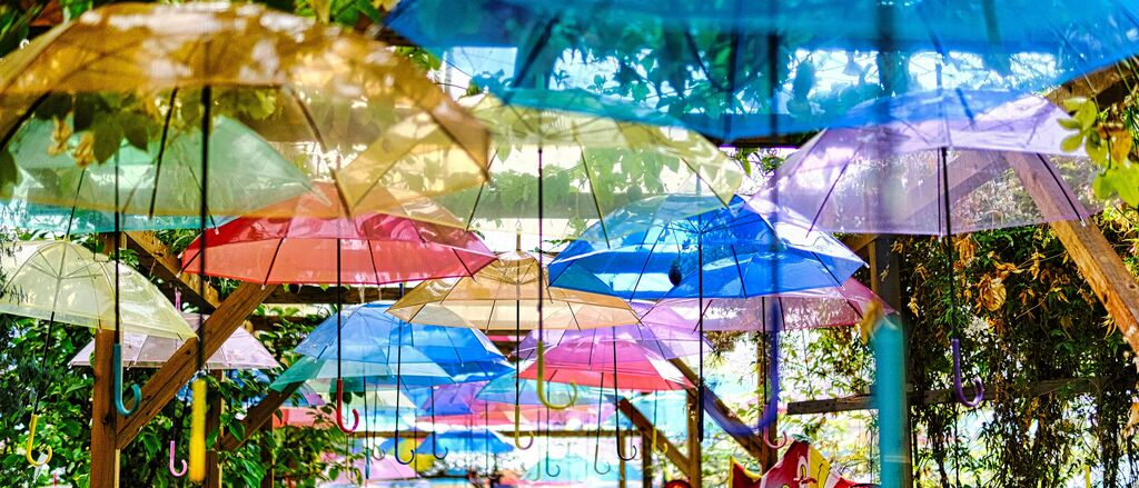 Leo okuyama ab QJ Cx Pxll Q unsplash